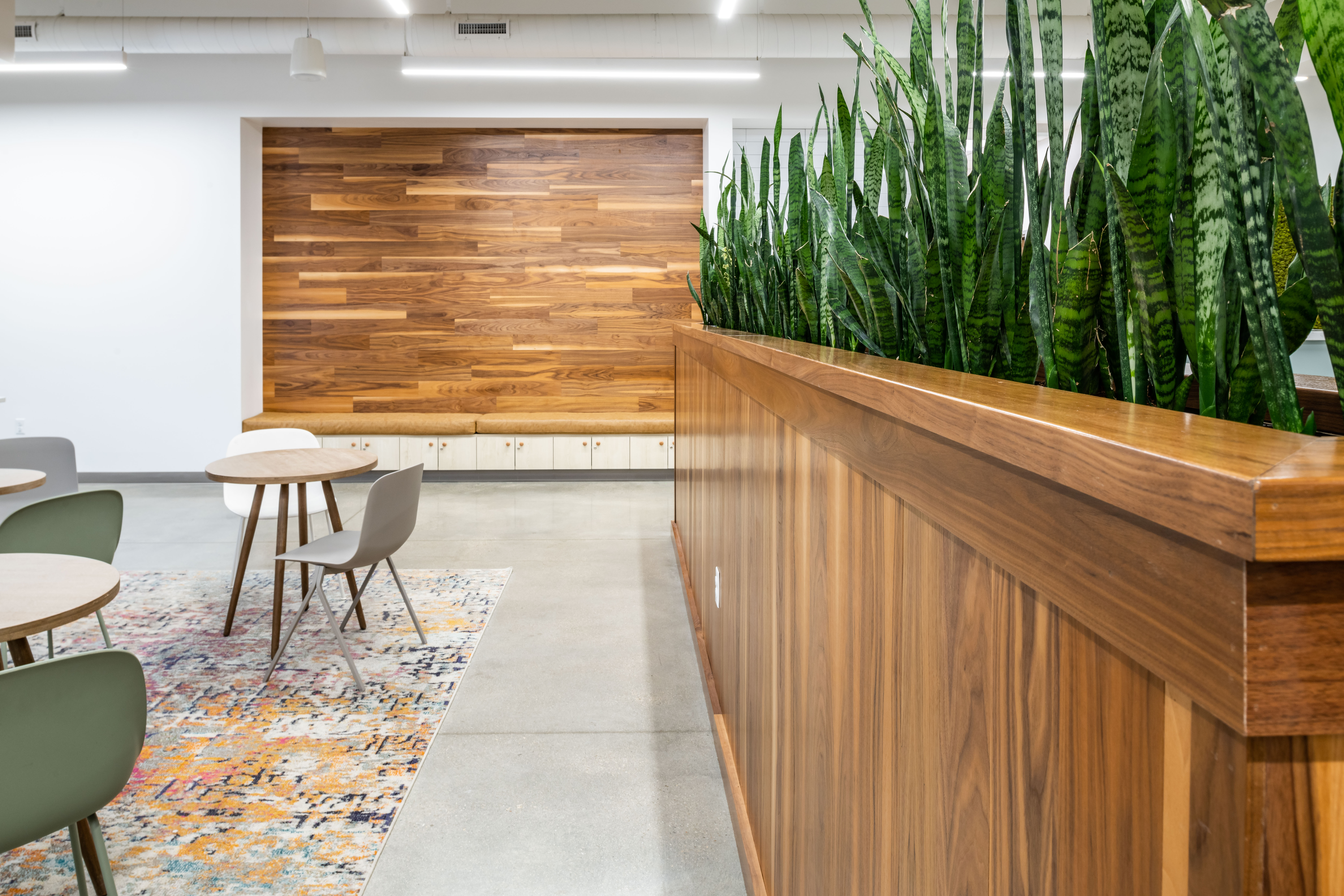 COLE Architects