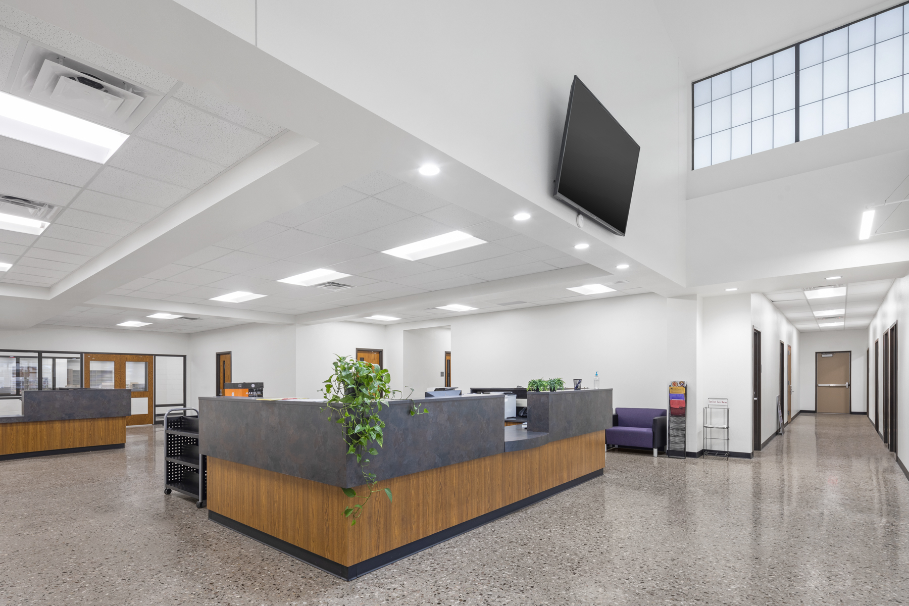 COLE Architects